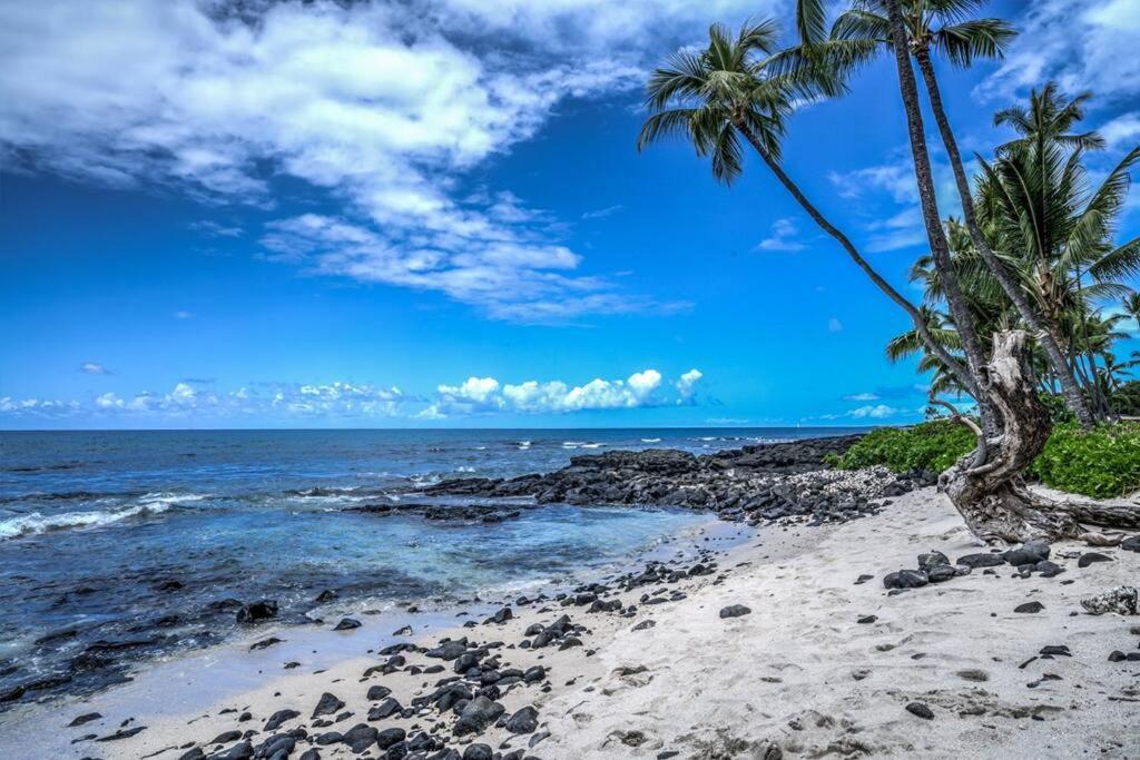 Newly Upgraded 1Br Unit Near Beach Max Of 5 Guests Kailua-Kona Exterior photo